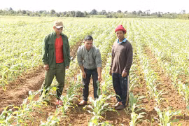 Chư Sê nỗ lực xây dựng xã nông thôn mới nâng cao