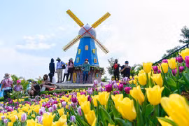 Du lịch Tây Ninh khởi sắc