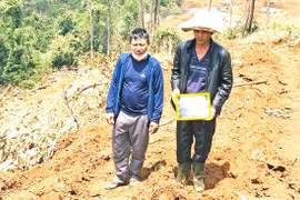 Bắt giam đối tượng chủ mưu phá rừng quy mô lớn tại Lâm Đồng