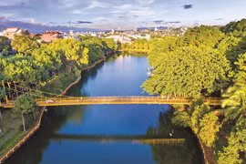 Chuyện thú vị về "mắt ngọc" Pleiku