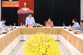 Bộ NN&PTNT sẽ đồng hành với Kon Tum trong việc phát triển sâm Ngọc Linh