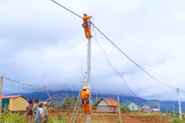 Tuổi trẻ Công ty Điện lực Gia Lai hướng về cộng đồng