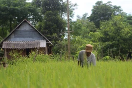 Thung lũng mồ côi