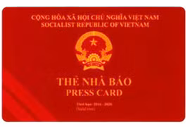 Sai phạm của Tổng biên tập Petro Times mang tính hệ thống