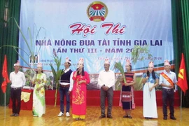 Gia Lai "Nhà nông đua tài"