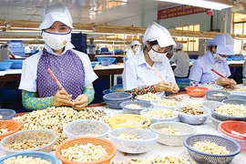 Gia Lai: Kim ngạch xuất khẩu đạt 70% kế hoạch năm