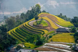 Phong cảnh vùng Đông Bắc qua ống kính nghệ sĩ nhiếp ảnh Gia Lai