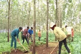 Huyện Đak Đoa chăm lo gia đình chiến sĩ