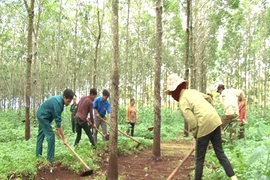 Huyện Đak Đoa chăm lo gia đình chiến sĩ