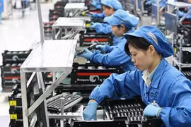 Gia Lai góp mặt vào 10 mặt hàng xuất khẩu lớn nhất của Việt Nam