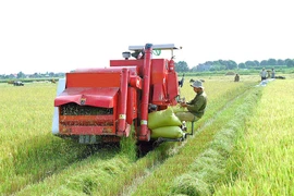 Phú Thiện: Khai thác tiềm năng để phát triển