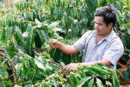 "Trao cần câu không trao con cá"