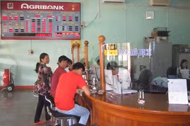 Agribank Gia Lai đồng hành cùng tam nông