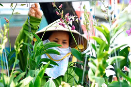 Pleiku: Mùa hoa trên phố