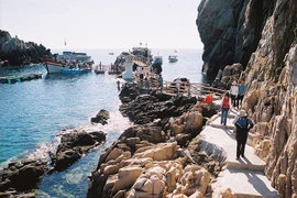 Thăm vùng đảo chim yến