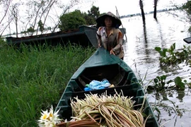 Người miền Tây hớn hở trong mùa nước nổi