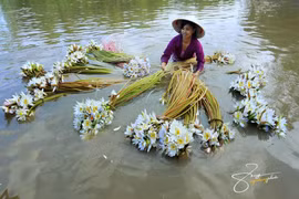 Vẻ đẹp say lòng người của An Giang