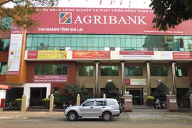 Agribank Gia Lai chuẩn bị chia tách làm 2 chi nhánh