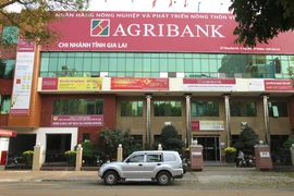 Agribank Gia Lai chuẩn bị chia tách làm 2 chi nhánh