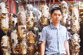 Kỹ sư điện tử viễn thông về làng... trồng nấm