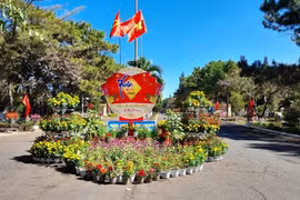 Sắc Xuân của lính