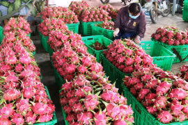 Tiếp sức nông dân từ gói hỗ trợ lớn nhất lịch sử