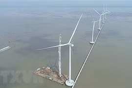 Đăng ký điện gió ngoài khơi gấp gần 26 lần dự thảo, ai sẽ được chọn?