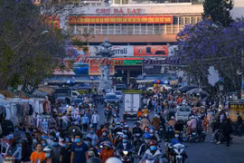 Lâm Đồng cho phép chợ đêm Đà Lạt hoạt động trở lại từ ngày 29/1