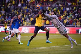 Kết quả Ecuador 1-1 Brazil, vòng loại World Cup 2022: Trọng tài và VAR thắng