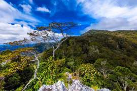 Vườn Quốc gia Kon Ka Kinh: Hướng đến du lịch xanh, phát triển bền vững