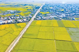 Không gian mở cho du lịch nông nghiệp