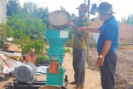 Nông dân sáng tạo công thức chế biến thức ăn chăn nuôi