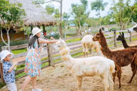 90% du khách lo ngại sẽ bị cách ly tại điểm đến hoặc khi quay về nhà