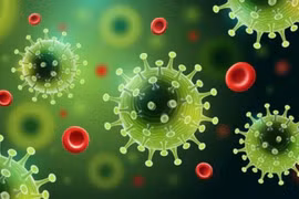 5 lỗi dễ mắc khi Covid-19 hạ nhiệt khiến bạn có thể gặp nguy hiểm