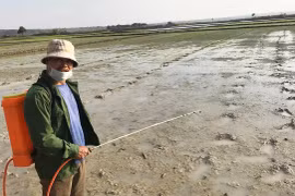 Chú trọng phòng trừ dịch bệnh trên cây trồng