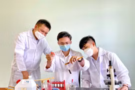 Nghiên cứu hoạt chất bảo vệ gan từ cây an xoa