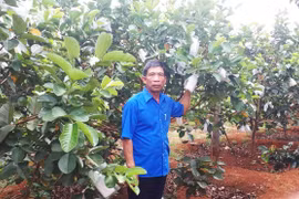 Chủ tịch Hội Nông dân xã Ia Drăng học và làm theo Bác