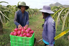 Chuyện không bao giờ cũ