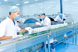 Gia Lai: Hỗ trợ doanh nghiệp phát triển bền vững