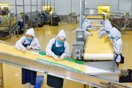 Gia Lai phấn đấu đến năm 2025 có 15 doanh nghiệp khoa học và công nghệ