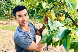 Chàng trai 9X rời phố về quê trồng nông sản sạch