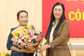 Quảng Ngãi có nữ Phó Bí thư Tỉnh ủy mới