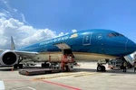 Vietnam Airlines mở bán đào, mai