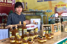 "Chắp cánh" thương hiệu mật ong hoa cà phê Gia Lai