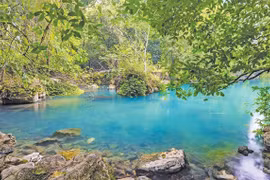 "Nơi Bác về nguồn nước mới sinh"