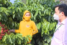 Thoát nghèo bền vững nhờ tín dụng chính sách