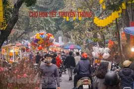 Khai mạc chợ hoa truyền thống Hàng Lược và Bích họa phố Phùng Hưng