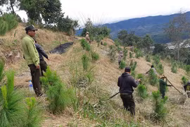 Gia Lai kiểm soát chặt chẽ người ra vào các khu rừng có nguy cơ cháy cao