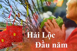 Quan niệm sai lầm về hái lộc đầu năm không phải ai cũng biết