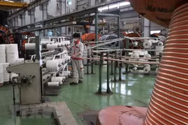 Chính phủ ban hành Chương trình phục hồi và phát triển kinh tế-xã hội